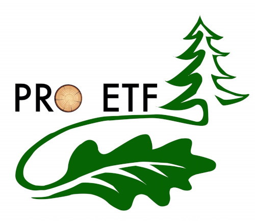 logo PRO ETF BFC